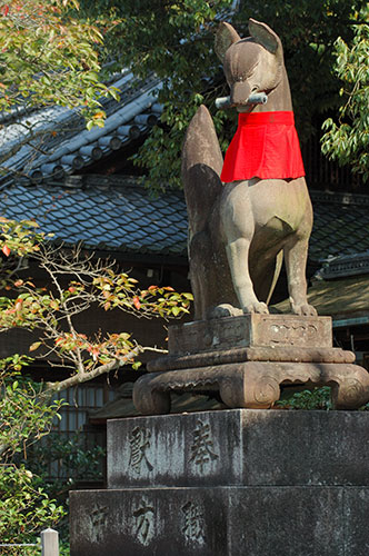 Kyoto, Tofokuji, Kitsune Statue