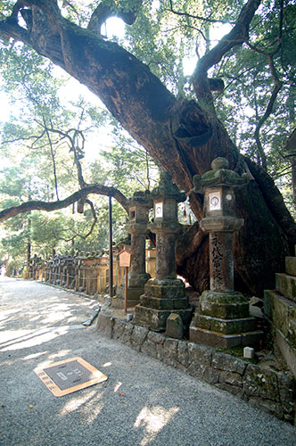 Nara, stone lanterns